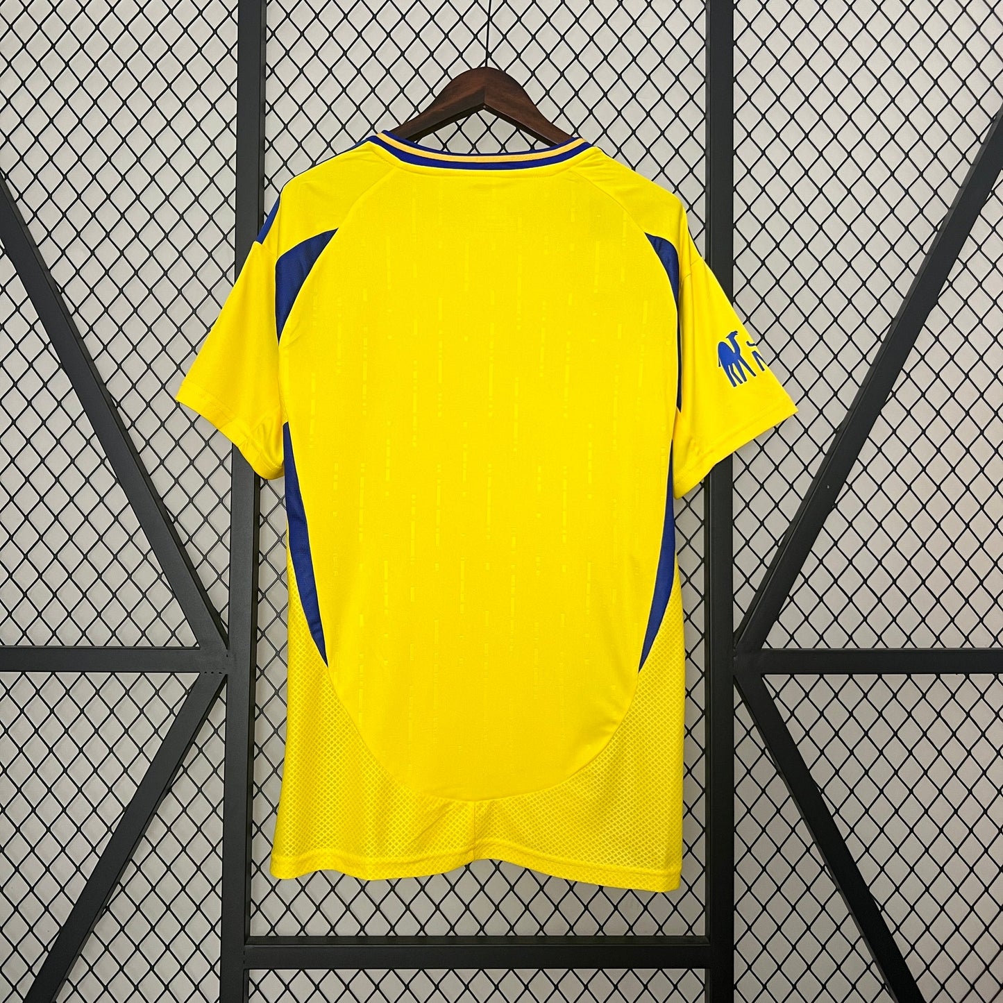 Al Nassr Principal 24/25